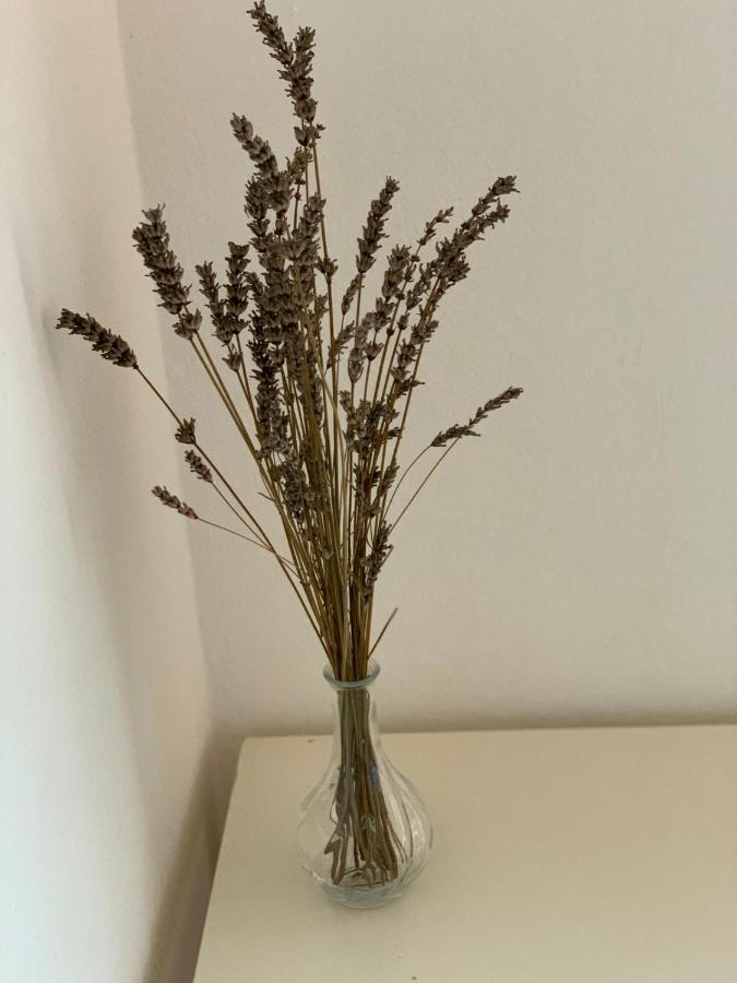 木洛希尼Danijela公寓 外观 照片